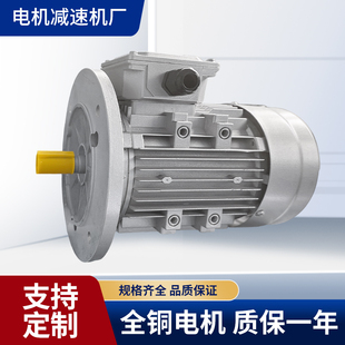 1.5 YE3 0.75 0.37 2.2kw异步电动机 YS三相四极1400转电机0.09