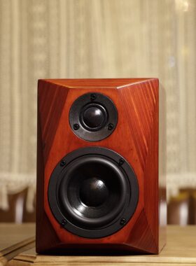 力创二分频实木无源hifi音箱桌面