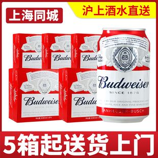 24罐 百威啤酒330ml Budweiser 5箱 5箱装