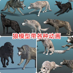 unity3d写实狼模型带动作动画奔跑wolf野生动物角色u3d游戏素材包