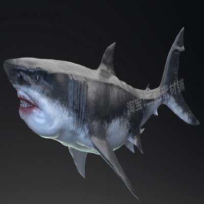 MEGALODON - Sea Monster Series 5巨齿鲨海怪UE4虚幻5鲨鱼动画