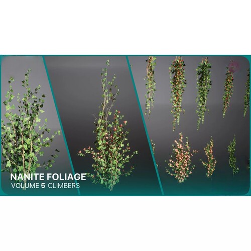 UE5.1爬山虎藤蔓墙面植物模型Nanite Foliage Vol5 Climbers