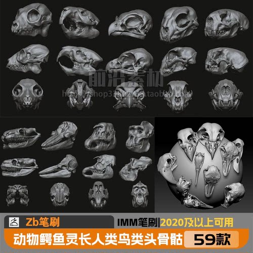 Zbrush IMM笔刷 动物鳄鱼灵长人类鸟类头骨骷髅头zb牛羊头骨骼Z58