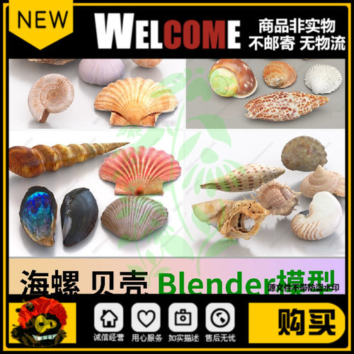 blender海螺贝壳3D模型海蜗牛牡蛎扇贝海鲜海贝C4D/fbx犀牛/Unity