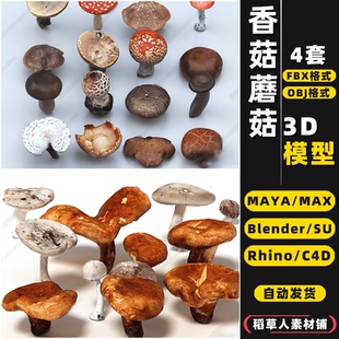 MAYA blender香菇蘑菇菌类蔬菜Rhino犀牛SU C4D 3Dmax模型FBX OBJ