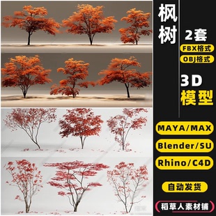 3Dmax模型FBX blender红枫树SU鸡爪槭MAYA树乔木Rhino犀牛C4D OBJ