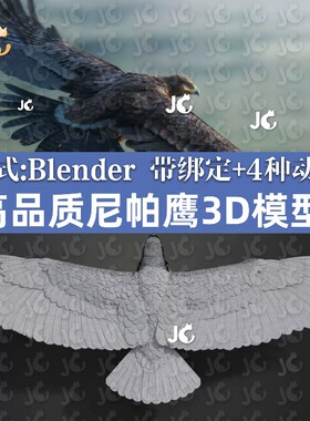 高质量尼帕鹰猛禽老鹰飞鹰3D模型鸟类金雕羽毛细节带材质绑定动画
