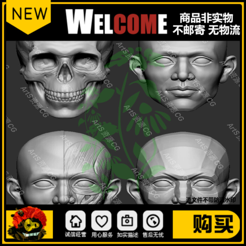 4组zbrush人物头部头骨骷脸部肌肉切面3d模型ZB雕刻超精细模型obj 商务/设计服务 设计素材/源文件 原图主图