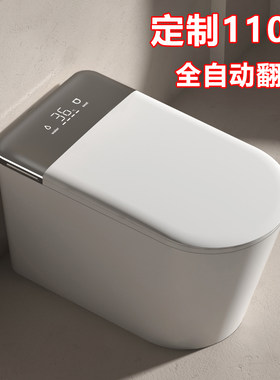 智能马桶定制110V出口全自动翻盖家用防堵臭杀菌无水压限制坐便器