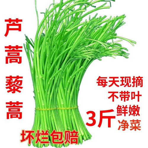 3斤当季新鲜芦蒿篱蒿去叶时令黎蒿新鲜蔬菜野菜藜蒿鲜嫩泥蒿茼蒿