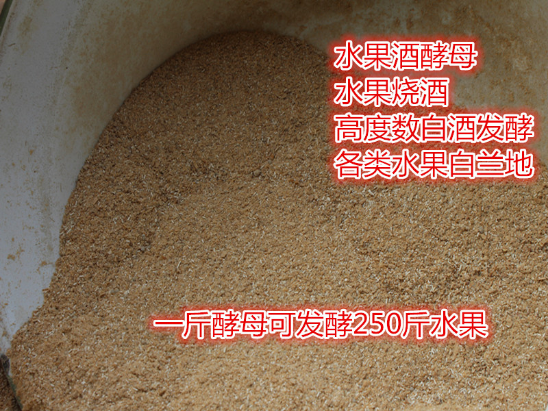 包邮 葡萄酒酵母 水果酒酵母白兰地桃子葡萄西瓜烧酒白兰地酒酒曲