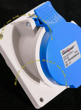 COOPER WD332SR6W-X-B 32A-6h/250V 2P+地 IP44 防水 3线 238 240