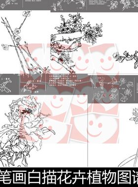 VYS50款中国传统绘画工笔画白描花卉植物图谱矢量素材资料参考