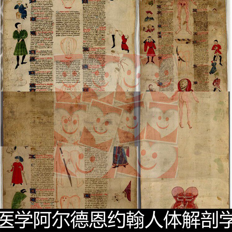 XLO中世纪阿尔德恩约翰人体解剖学图彩绘非高清小图素材资料参考