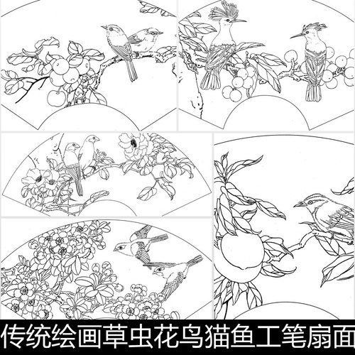 EHM绘画草虫花鸟猫鱼工笔扇面白描线稿非高清小图素材资料参考