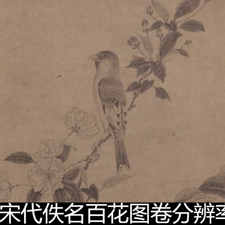 dxd宋代佚名百花图卷分辨率96非高清小图素材资料参考1 292mb