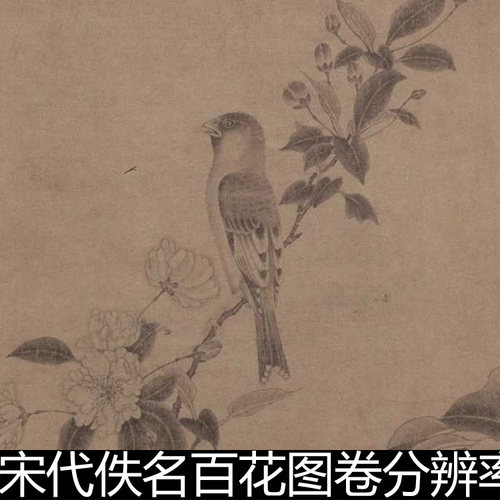 DXD宋代佚名百花图卷分辨率96非高清小图素材资料参考1 292MB
