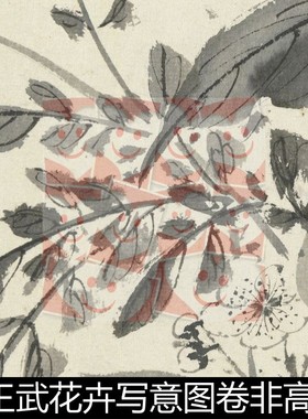 VBJ清代王武花卉写意图卷非高清小图素材资料参考1 66.5MB