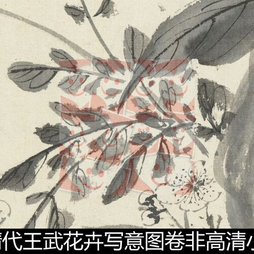 VBJ清代王武花卉写意图卷非高清小图素材资料参考1 66.5MB