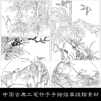 NX中国古典工笔竹子手绘临摹线稿素材图库24 71.7MB JPG格式