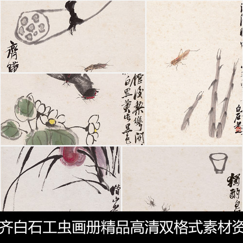 UG齐白石工虫画册精品高清双格式素材资料参考18 549MB TIF+JPG格式