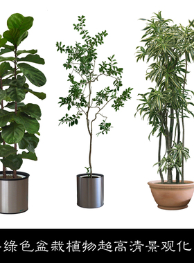 IZ花卉绿色盆栽植物超高清景观化园林设计PSD分层后期素材资料