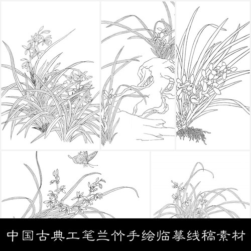 OI中国古典工笔兰竹手绘临摹线稿素材图库35 190MB JPG格式