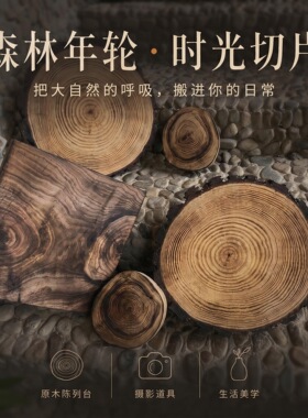 森林年轮原木切片装饰摆件