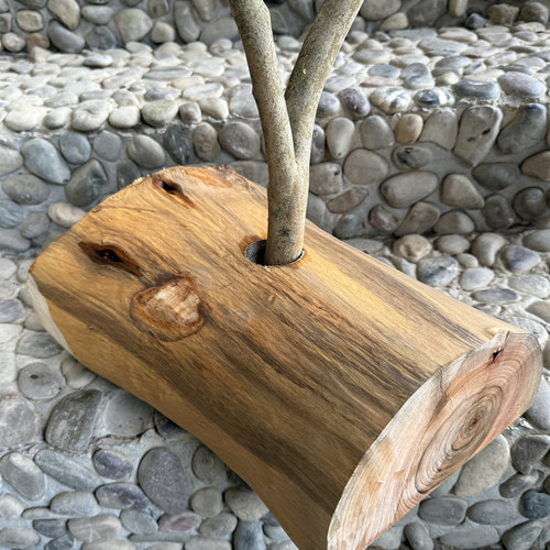 天然原木树桩枯木树杈落地卧室民宿简约现代家用创意鸟站架香樟木