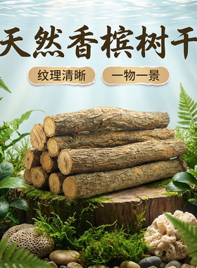 天然实木干树枝原木手工DIY装饰材料摆件造景木香槟树干鱼缸雨林