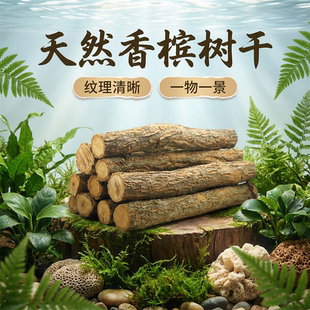 天然实木干树枝原木手工DIY装饰材料摆件造景木香槟树干鱼缸雨林