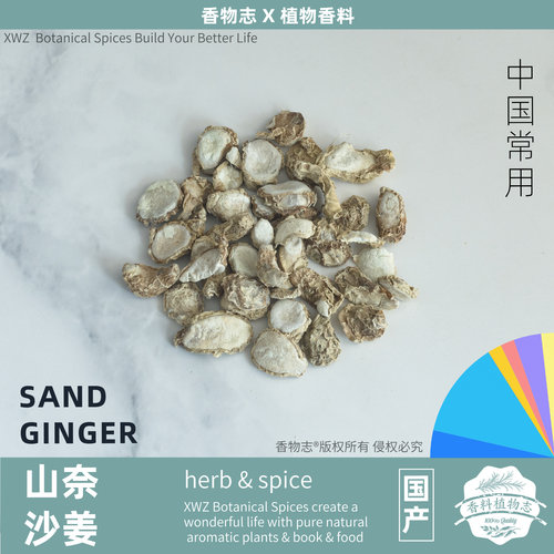 山奈 沙姜 SAND GINGER