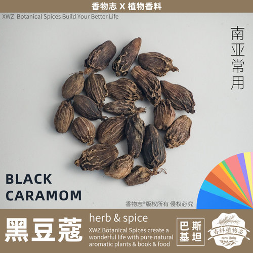 黑豆蔻BLACK CARAMOM