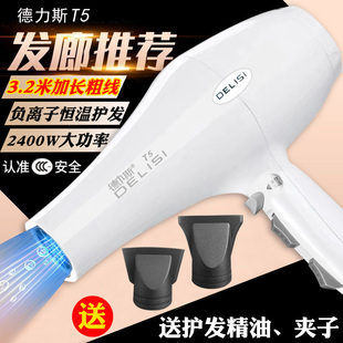 德力斯欧斯盾T5电吹风大功率负离子护发理发店发廊专用大风力电风