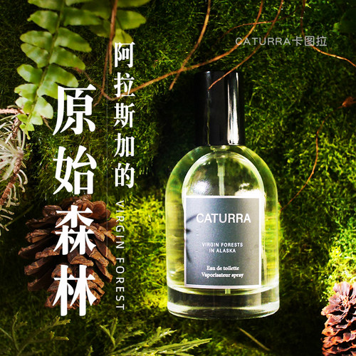 雨后森林的气息青草树木香味