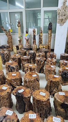 枣木墩子根雕原木树桩树墩坐墩茶几原生态实木圆墩凳花架摆件底座