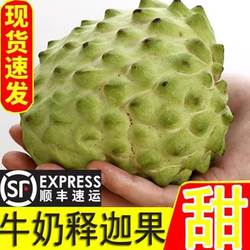 顺丰海南新鲜水果牛奶释迦果凤梨刺果番荔枝佛头果胜台湾释迦