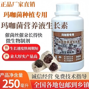 玛咖菌营养液玛卡菌猴脑菌营养液催菌丝促进生长壮朵种植玛咖菌