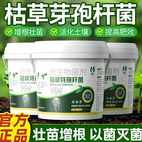 枯草芽孢杆菌生物菌肥改善土壤