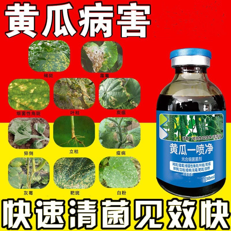 黄瓜黄叶病专用黄瓜病全治疫病毒病靶斑病角斑病增产叶面肥