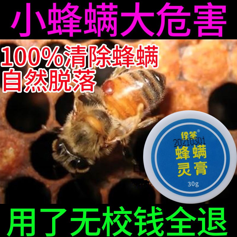 靈膏藥意專用清除非蜂掛片