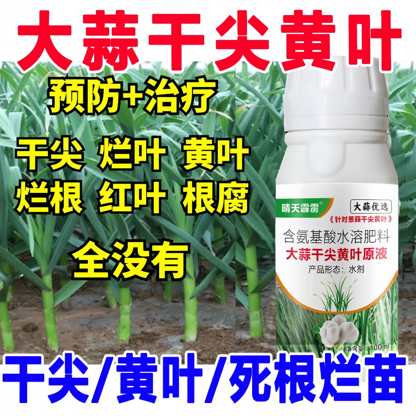 大蒜黄叶病专用药干尖微生物菌剂