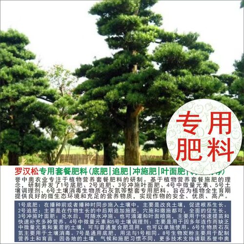罗汉松专用有机肥复合肥底肥追肥
