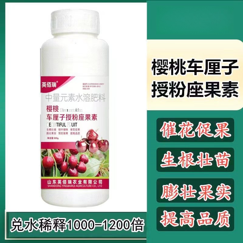 大樱桃车厘子授粉药坐果精灵樱桃开花受粉剂防落果神器果树免人工