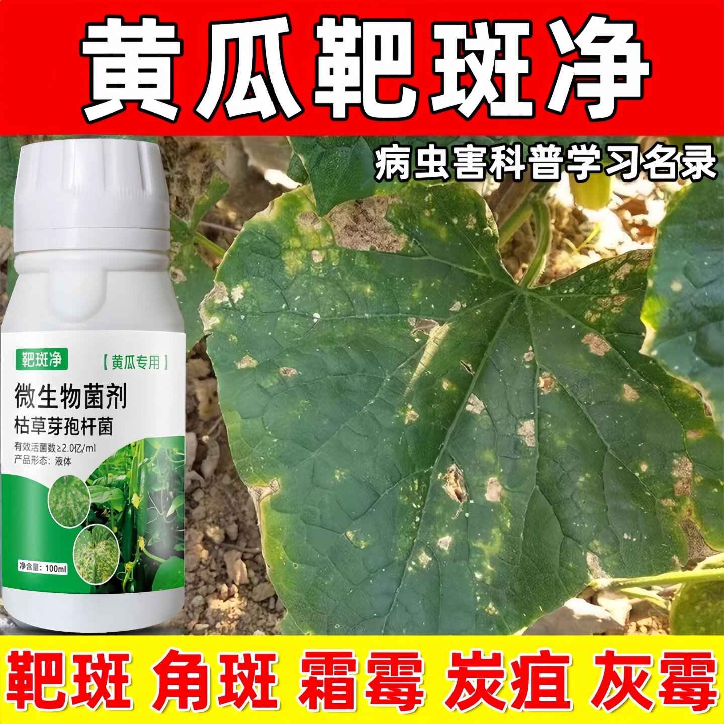 黄瓜靶斑病专用药效果细菌性病害