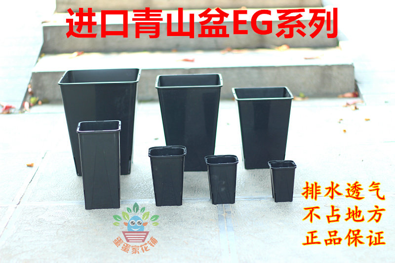 特价清仓进口多肉欧月控根盆