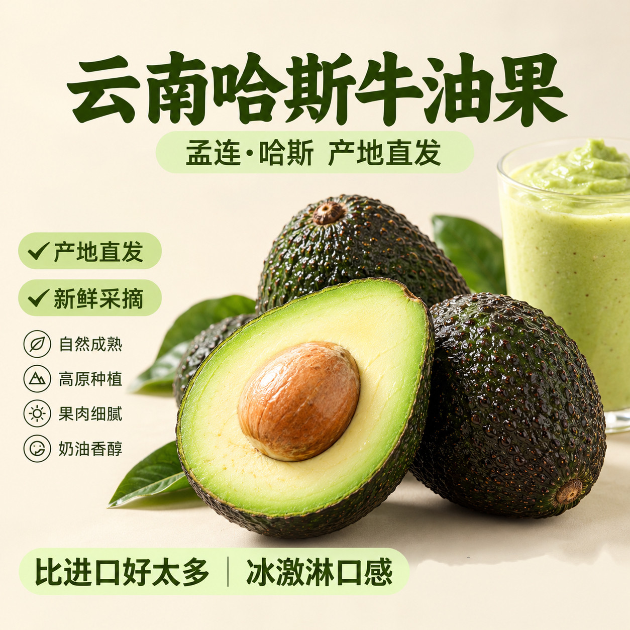 云南孟连高品质哈斯牛油果八成熟