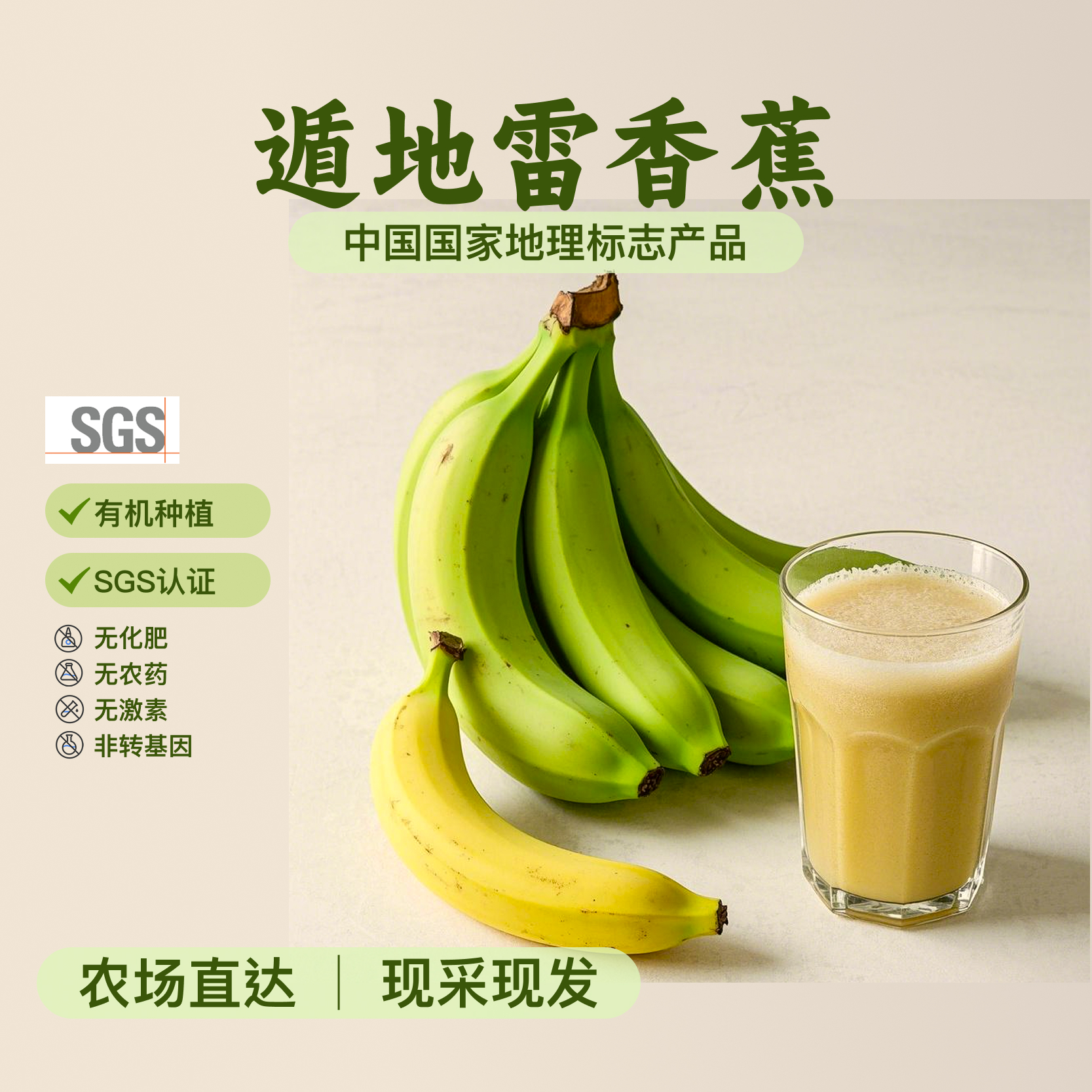国家地标广东遁地雷香蕉香甜软糯