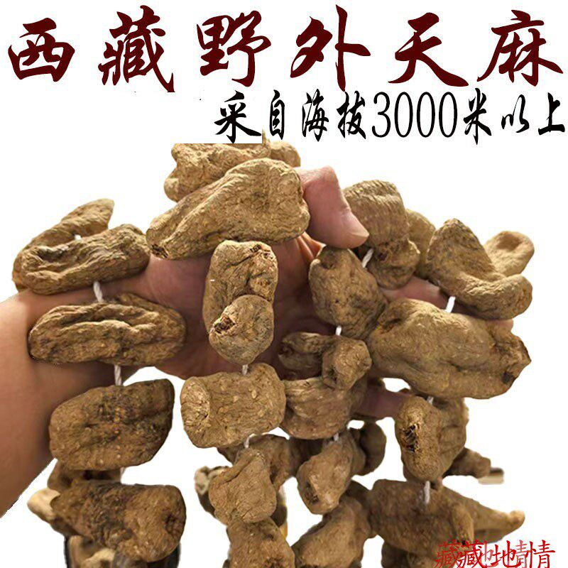 250克包邮 西藏野外天麻 天麻野外精品 脏天麻 天麻中药材正品