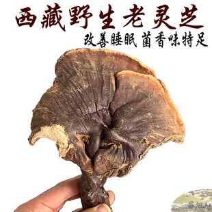 250克包邮 西藏野生灵芝 赤灵芝 这样的货在原始森林都很难